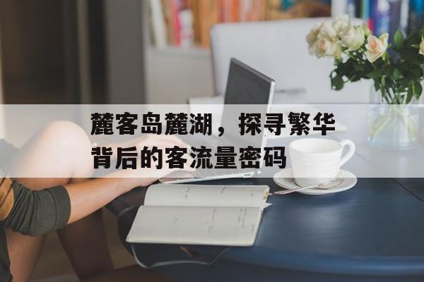 麓客岛麓湖，探寻繁华背后的客流量密码
