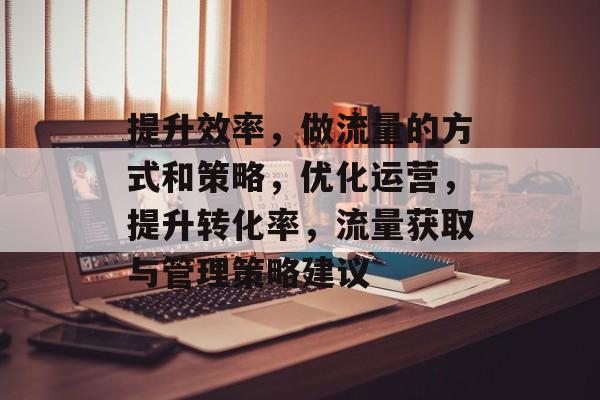 提升效率，做流量的方式和策略，优化运营，提升转化率，流量获取与管理策略建议