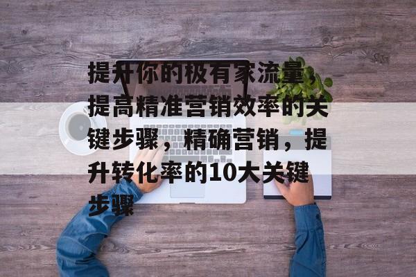 提升你的极有家流量,提高精准营销效率的关键步骤,精确营销,提升转化率的10大关键步骤 提升你的极有家流量,提高精准营销效率的关键步骤,精确营销,提升转化率的10大关键步骤