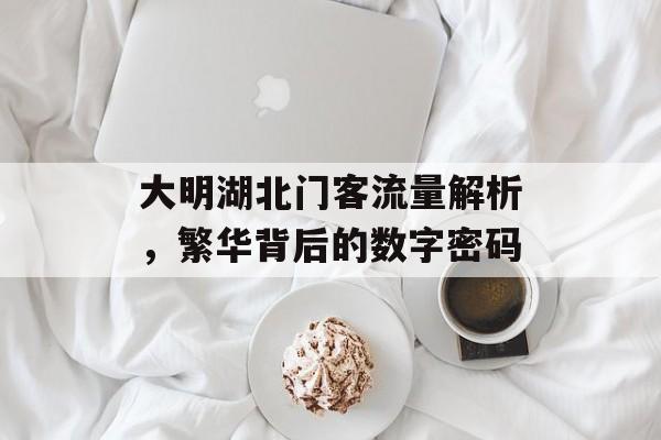 大明湖北门客流量解析，繁华背后的数字密码
