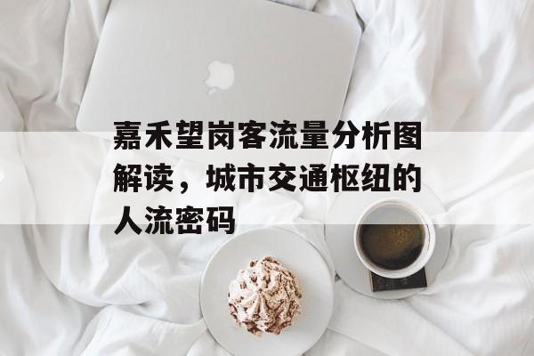 嘉禾望岗客流量分析图解读，城市交通枢纽的人流密码
