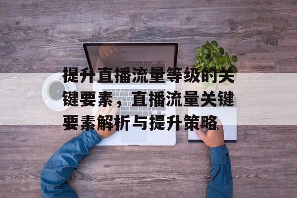 提升直播流量等级的关键要素,直播流量关键要素解析与提升策略 提升直播流量等级的关键要素,直播流量关键要素解析与提升策略