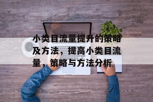 小类目流量提升的策略及方法,提高小类目流量,策略与方法分析 小类目流量提升的策略及方法,提高小类目流量,策略与方法分析