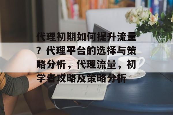 代理初期如何提升流量？代理平台的选择与策略分析，代理流量，初学者攻略及策略分析