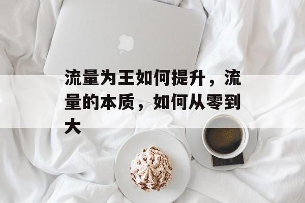 流量为王如何提升,流量的本质,如何从零到大 流量为王如何提升,流量的本质,如何从零到大
