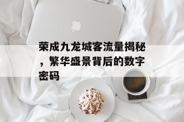 荣成九龙城客流量揭秘,繁华盛景背后的数字密码 荣成九龙城客流量揭秘,繁华盛景背后的数字密码