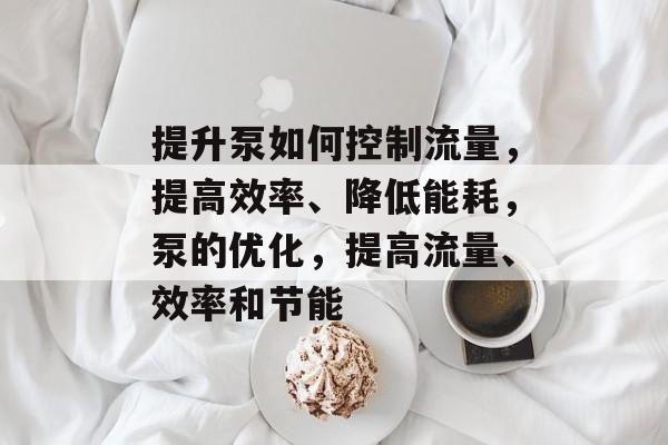 提升泵如何控制流量,提高效率、降低能耗,泵的优化,提高流量、效率和节能 提升泵如何控制流量,提高效率、降低能耗,泵的优化,提高流量、效率和节能