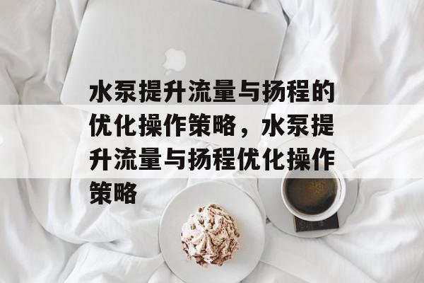水泵提升流量与扬程的优化操作策略,水泵提升流量与扬程优化操作策略 水泵提升流量与扬程的优化操作策略,水泵提升流量与扬程优化操作策略