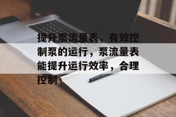 提升泵流量表,有效控制泵的运行,泵流量表能提升运行效率,合理控制 提升泵流量表,有效控制泵的运行,泵流量表能提升运行效率,合理控制