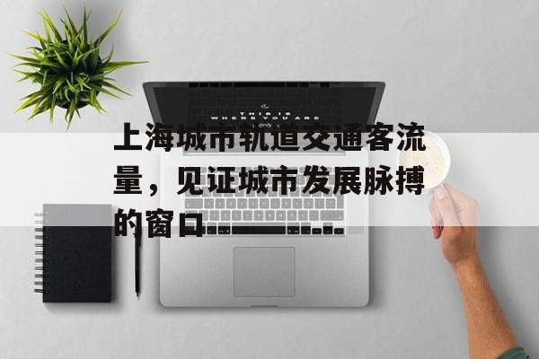 上海城市轨道交通客流量,见证城市发展脉搏的窗口 上海城市轨道交通客流量,见证城市发展脉搏的窗口