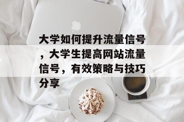 大学如何提升流量信号,大学生提高网站流量信号,有效策略与技巧分享 大学如何提升流量信号,大学生提高网站流量信号,有效策略与技巧分享
