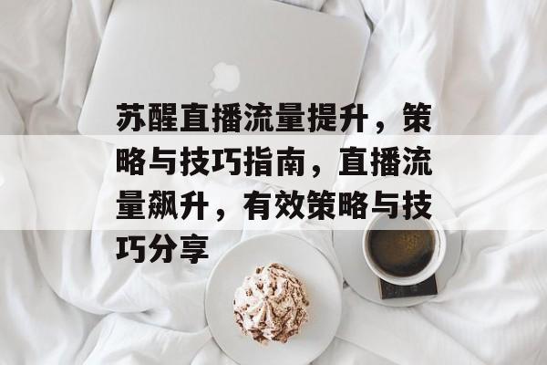 苏醒直播流量提升,策略与技巧指南,直播流量飙升,有效策略与技巧分享 苏醒直播流量提升,策略与技巧指南,直播流量飙升,有效策略与技巧分享