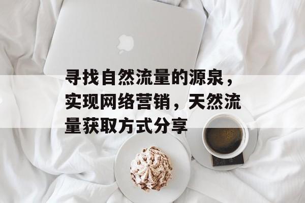 寻找自然流量的源泉,实现网络营销,天然流量获取方式分享 寻找自然流量的源泉,实现网络营销,天然流量获取方式分享