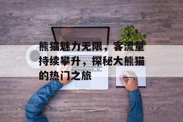 熊猫魅力无限,客流量持续攀升,探秘大熊猫的热门之旅 熊猫魅力无限,客流量持续攀升,探秘大熊猫的热门之旅