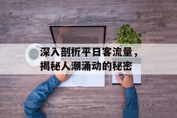 深入剖析平日客流量，揭秘人潮涌动的秘密