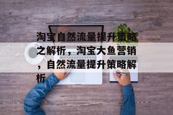 淘宝自然流量提升策略之解析，淘宝大鱼营销，自然流量提升策略解析