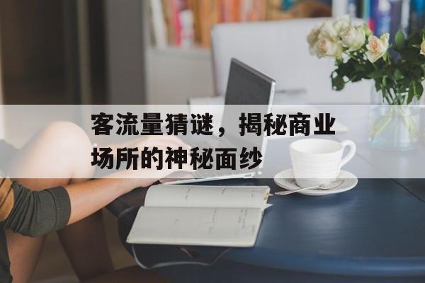 客流量猜谜,揭秘商业场所的神秘面纱 客流量猜谜,揭秘商业场所的神秘面纱
