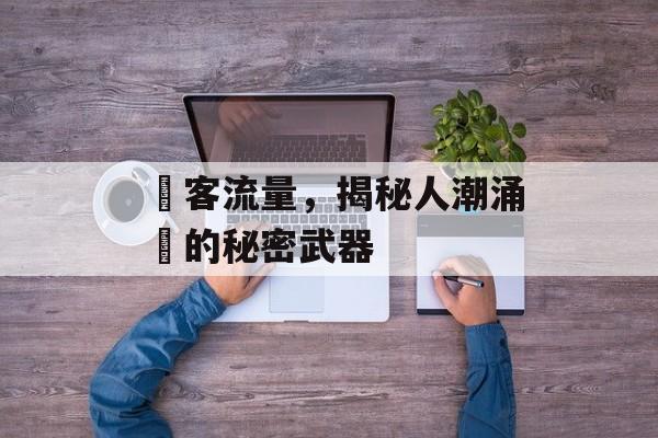 總客流量,揭秘人潮涌動的秘密武器 總客流量,揭秘人潮涌動的秘密武器