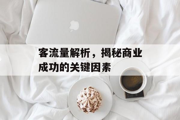 客流量解析,揭秘商业成功的关键因素 客流量解析,揭秘商业成功的关键因素