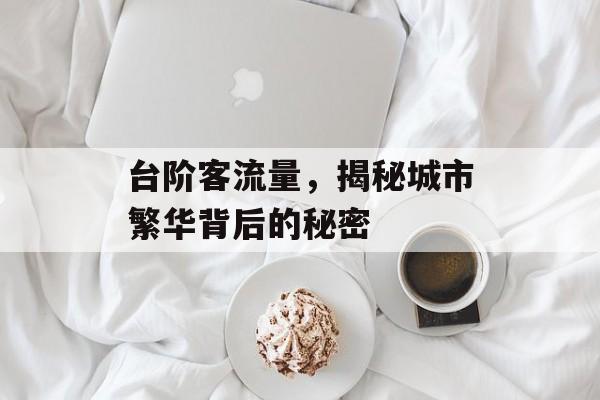 台阶客流量,揭秘城市繁华背后的秘密 台阶客流量,揭秘城市繁华背后的秘密