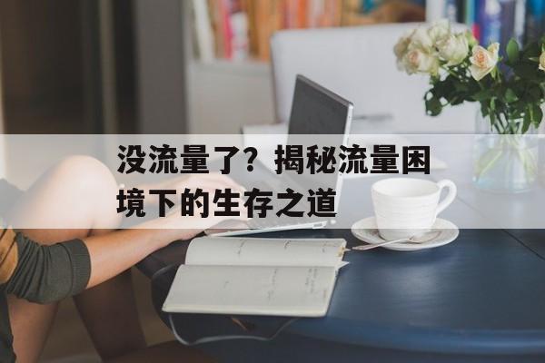 没流量了?揭秘流量困境下的生存之道 没流量了?揭秘流量困境下的生存之道