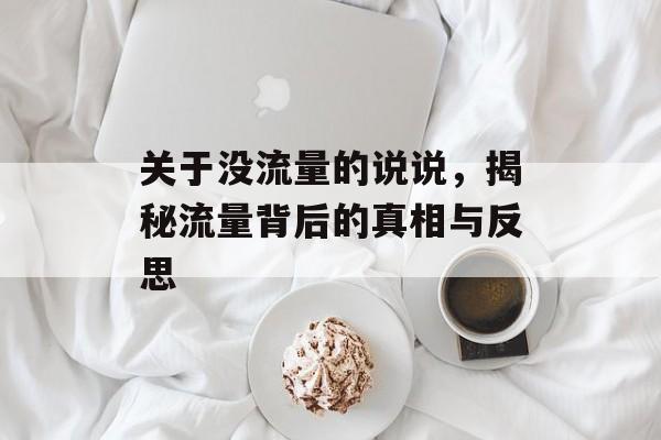 关于没流量的说说,揭秘流量背后的真相与反思 关于没流量的说说,揭秘流量背后的真相与反思