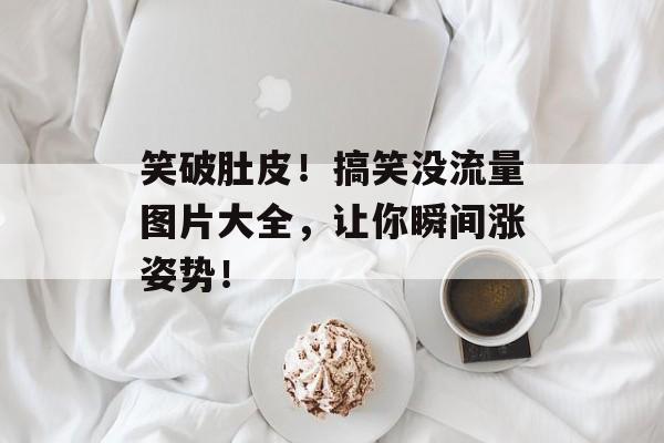 笑破肚皮！搞笑没流量图片大全，让你瞬间涨姿势！