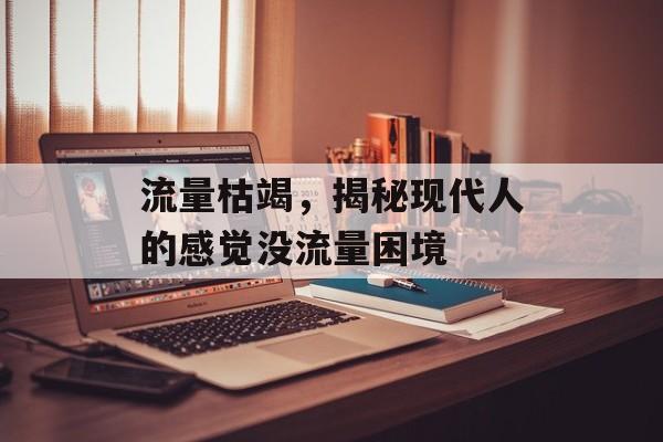 流量枯竭,揭秘现代人的感觉没流量困境 流量枯竭,揭秘现代人的感觉没流量困境