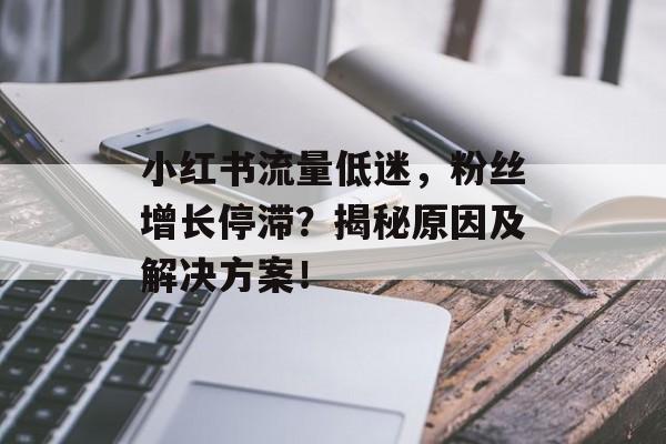 小红书流量低迷,粉丝增长停滞?揭秘原因及解决方案! 小红书流量低迷,粉丝增长停滞?揭秘原因及解决方案!