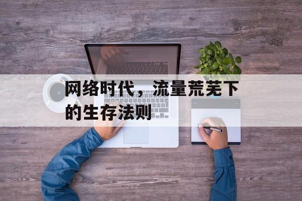 网络时代,流量荒芜下的生存法则 网络时代,流量荒芜下的生存法则