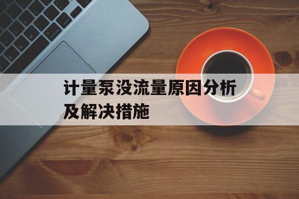 计量泵没流量原因分析及解决措施 计量泵没流量原因分析及解决措施