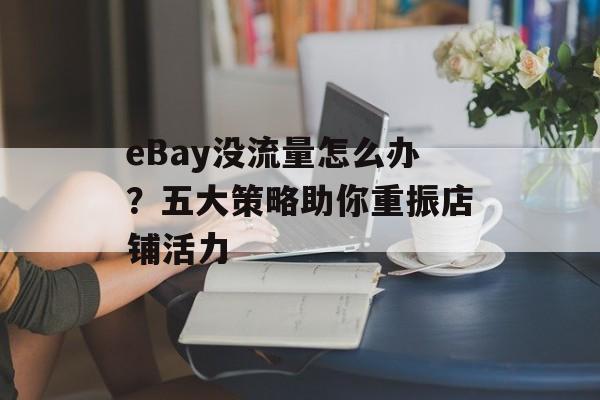 eBay没流量怎么办?五大策略助你重振店铺活力 eBay没流量怎么办?五大策略助你重振店铺活力