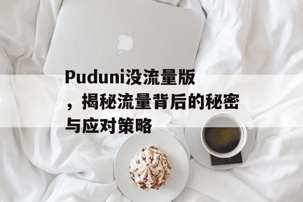 Puduni没流量版,揭秘流量背后的秘密与应对策略 Puduni没流量版,揭秘流量背后的秘密与应对策略