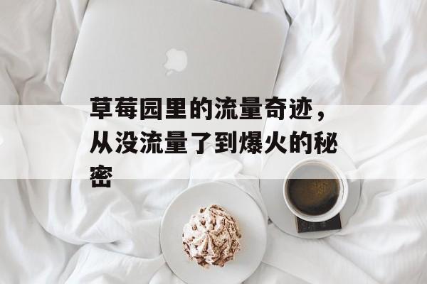 草莓园里的流量奇迹,从没流量了到爆火的秘密 草莓园里的流量奇迹,从没流量了到爆火的秘密