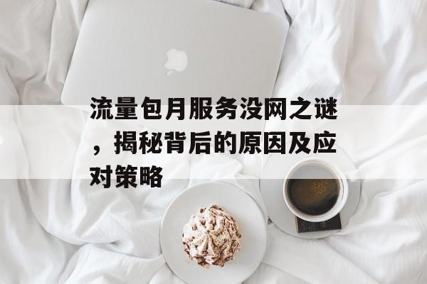 流量包月服务没网之谜,揭秘背后的原因及应对策略 流量包月服务没网之谜,揭秘背后的原因及应对策略