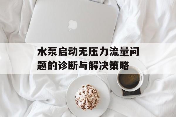 水泵启动无压力流量问题的诊断与解决策略