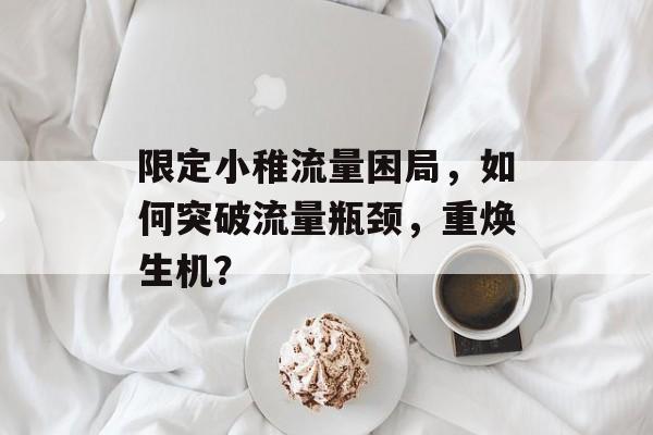 限定小稚流量困局,如何突破流量瓶颈,重焕生机? 限定小稚流量困局,如何突破流量瓶颈,重焕生机?