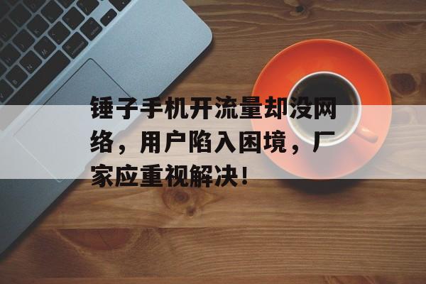锤子手机开流量却没网络,用户陷入困境,厂家应重视解决! 锤子手机开流量却没网络,用户陷入困境,厂家应重视解决!