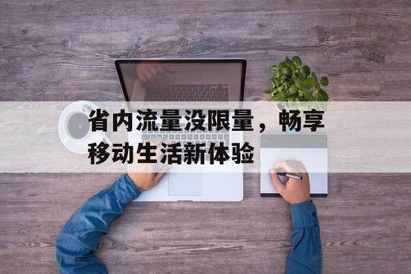 省内流量没限量,畅享移动生活新体验 省内流量没限量,畅享移动生活新体验