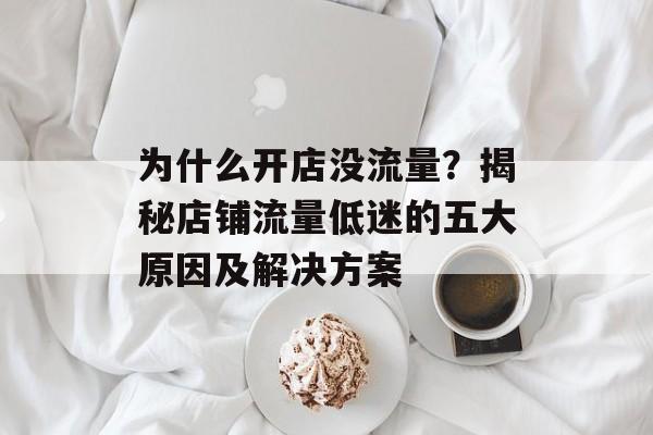 为什么开店没流量?揭秘店铺流量低迷的五大原因及解决方案 为什么开店没流量?揭秘店铺流量低迷的五大原因及解决方案