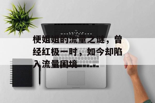 梗姐姐的流量之谜,曾经红极一时,如今却陷入流量困境 梗姐姐的流量之谜,曾经红极一时,如今却陷入流量困境