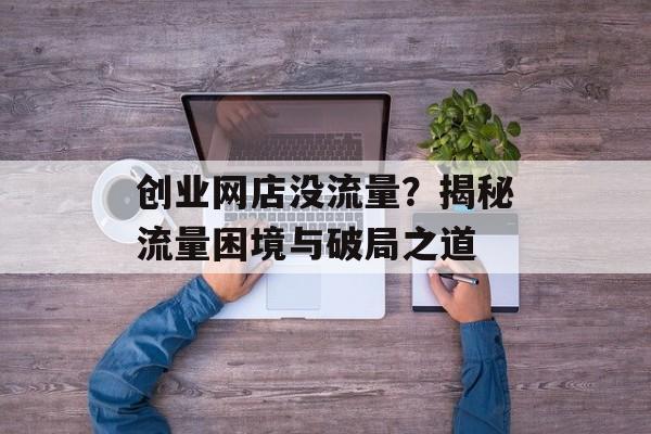 创业网店没流量？揭秘流量困境与破局之道