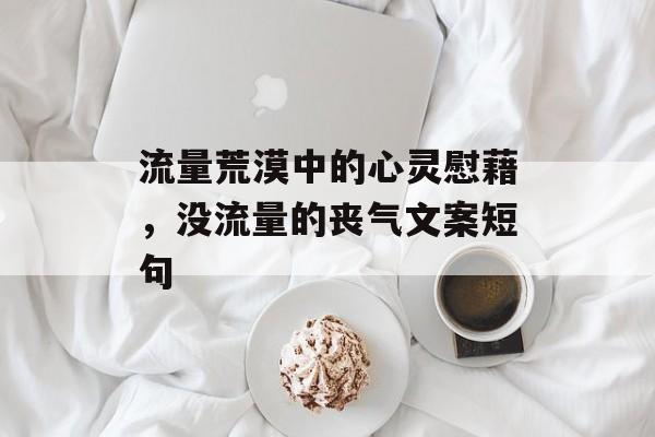 流量荒漠中的心灵慰藉,没流量的丧气文案短句 流量荒漠中的心灵慰藉,没流量的丧气文案短句