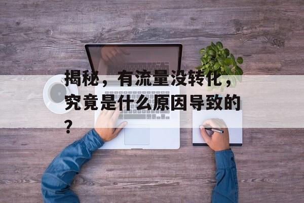 揭秘,有流量没转化,究竟是什么原因导致的? 揭秘,有流量没转化,究竟是什么原因导致的?