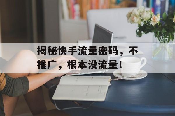 揭秘快手流量密码,不推广,根本没流量! 揭秘快手流量密码,不推广,根本没流量!