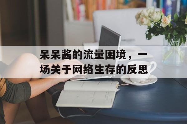 呆呆酱的流量困境,一场关于网络生存的反思 呆呆酱的流量困境,一场关于网络生存的反思