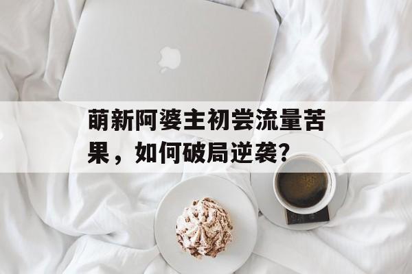 萌新阿婆主初尝流量苦果,如何破局逆袭? 萌新阿婆主初尝流量苦果,如何破局逆袭?