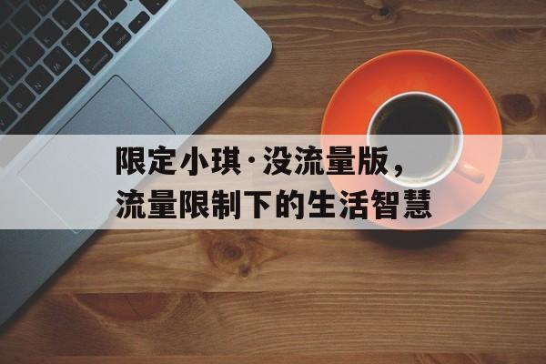 限定小琪·没流量版，流量限制下的生活智慧