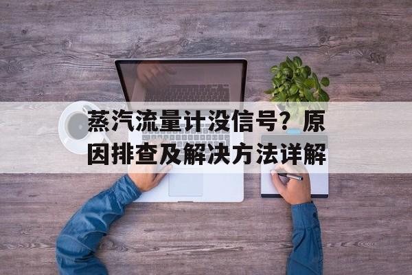 蒸汽流量计没信号?原因排查及解决方法详解 蒸汽流量计没信号?原因排查及解决方法详解