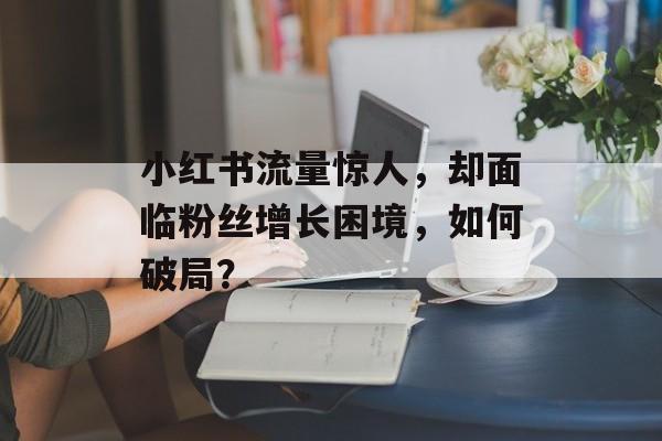 小红书流量惊人,却面临粉丝增长困境,如何破局? 小红书流量惊人,却面临粉丝增长困境,如何破局?